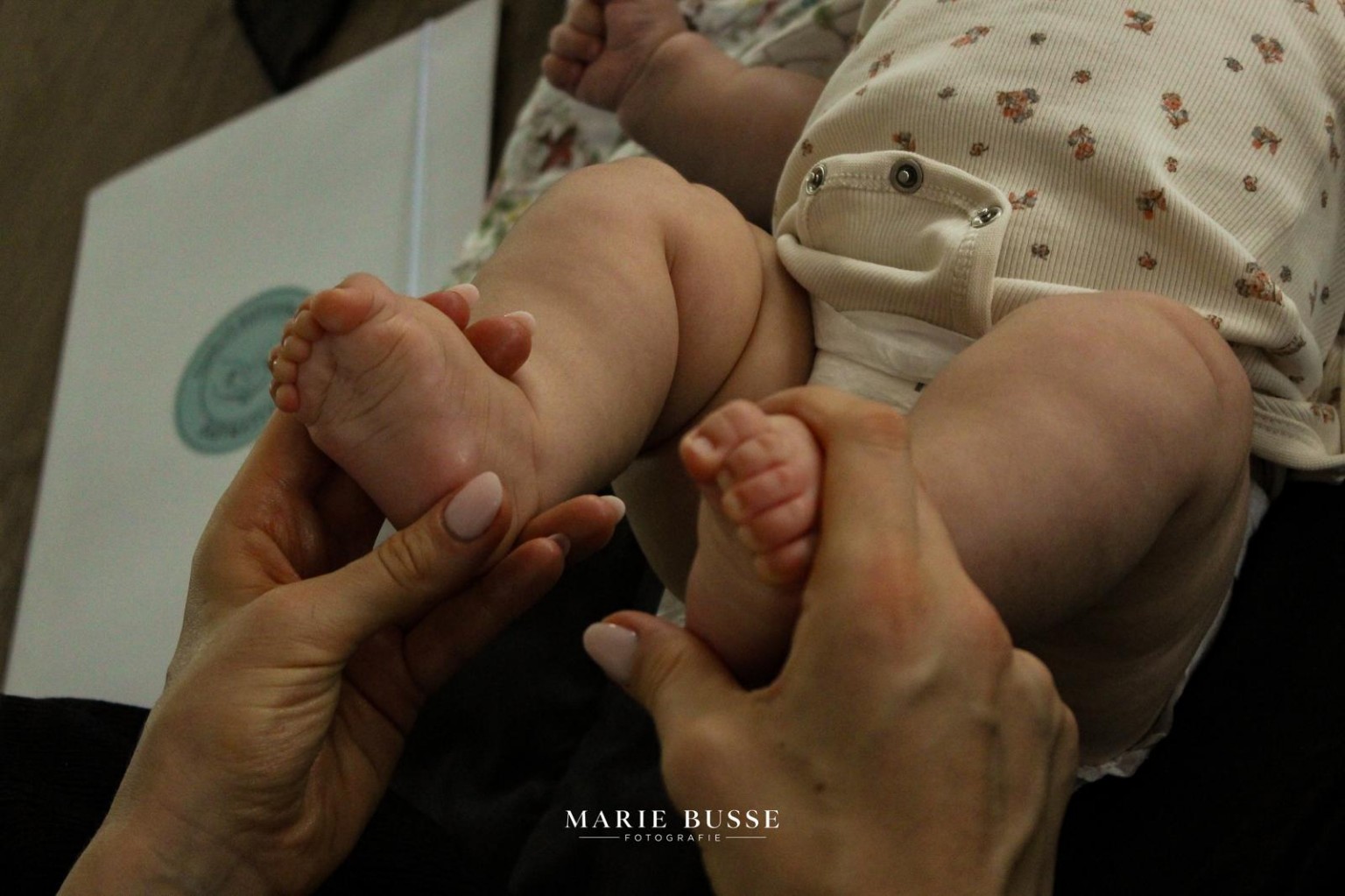 Einblick Babyharmonie